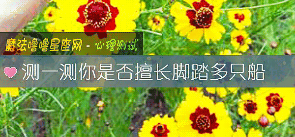 測一測你是否擅長腳踏多只船