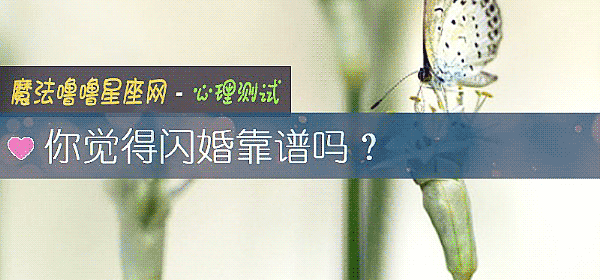 你覺得閃婚靠譜嗎？