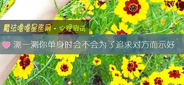 測一測你單身時會不會爲了追求對方而示好