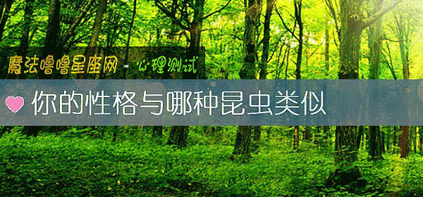 你的性格與哪種昆蟲類似