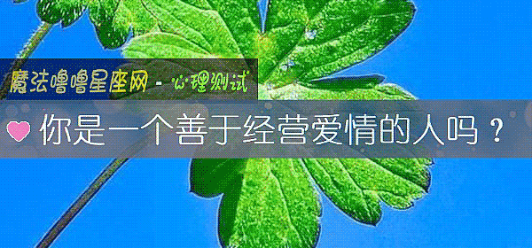 你是一個善于經營愛情的人嗎？