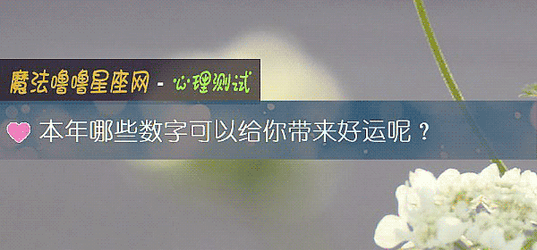 本年哪些數字可以給你帶來好運呢？