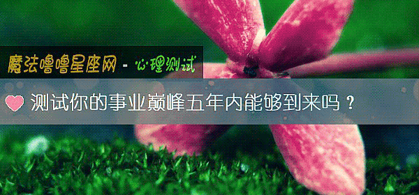 測試你的事業巅峰五年內能夠到來嗎？