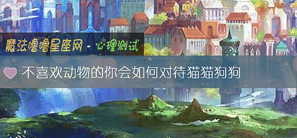 不喜歡動物的你會如何對待貓貓狗狗