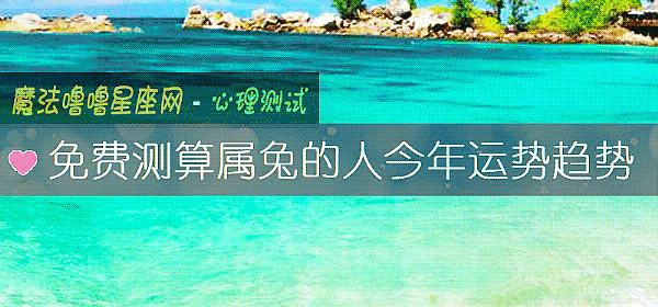 免費測算屬兔的人今年運勢趨勢