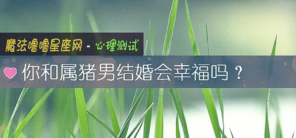 你和屬豬男結婚會幸福嗎？