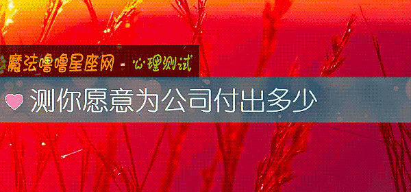 測你願意爲公司付出多少