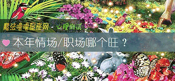 本年情場/職場哪個旺？