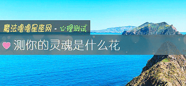 測你的靈魂是什麼花