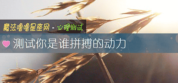 測試你是誰拼搏的動力