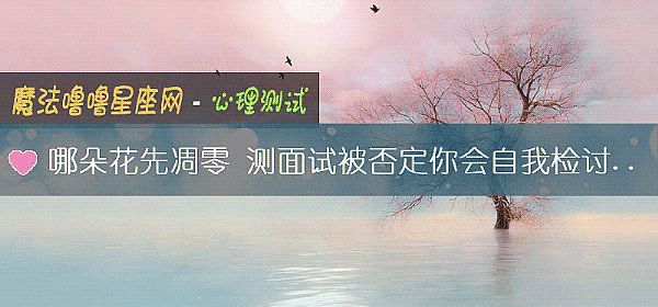 哪朵花先凋零 測面試被否定你會自我檢討嗎？