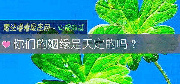 你們的姻緣是天定的嗎？