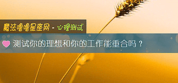 測試你的理想和你的工作能重合嗎？