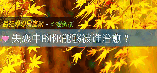 失戀中的你能夠被誰治愈？