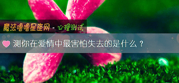 測你在愛情中最害怕失去的是什麼？