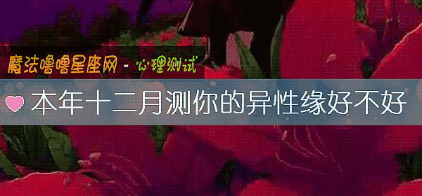 本年十二月測你的異性緣好不好