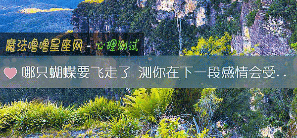 哪只蝴蝶要飛走了 測你在下一段感情會受傷嗎？