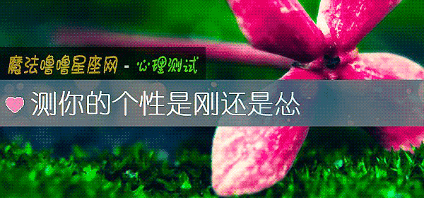 測你的個性是剛還是慫