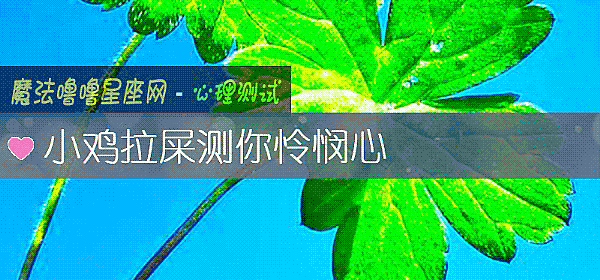 小雞拉屎測你憐憫心