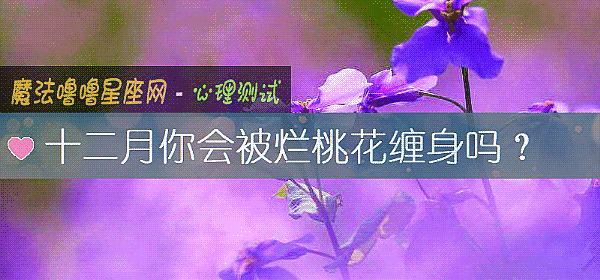 十二月你會被爛桃花纏身嗎?