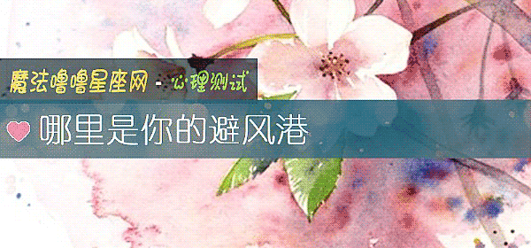 哪裏是你的避風港