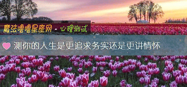 測你的人生是更追求務實還是更講情懷