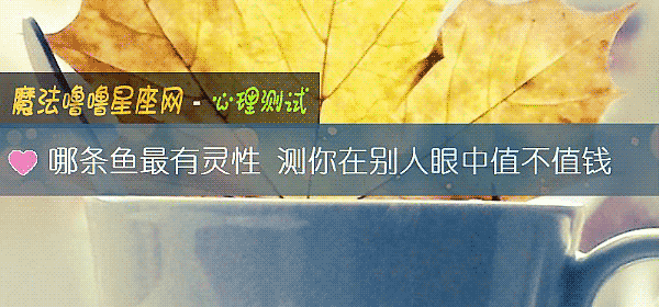 哪條魚最有靈性 測你在別人眼中值不值錢