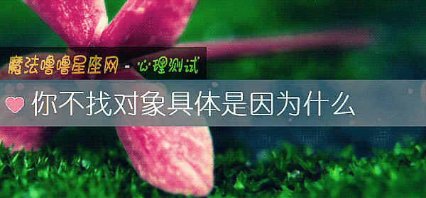 你不找對象具體是因爲什麼