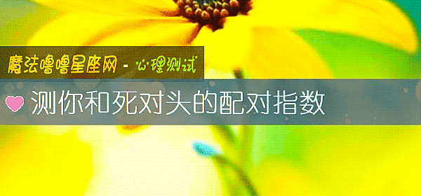測你和死對頭的配對指數