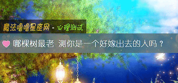 哪棵樹最老 測你是一個好嫁出去的人嗎?