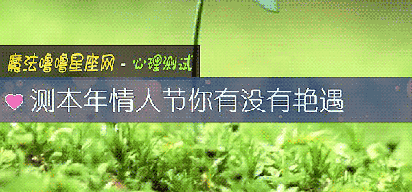 測本年情人節你有沒有豔遇