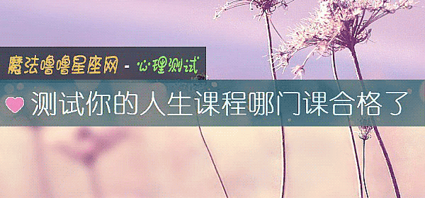 測試你的人生課程哪門課合格了