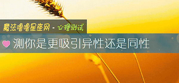 測你是更吸引異性還是同性
