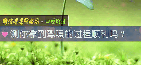 測你拿到駕照的過程順利嗎？