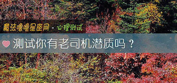 測試你有老司機潛質嗎？