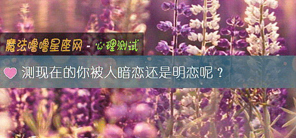 測現在的你被人暗戀還是明戀呢？