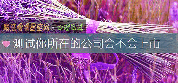 測試你所在的公司會不會上市