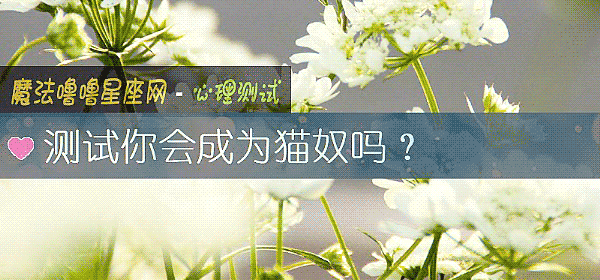 測試你會成爲貓奴嗎？