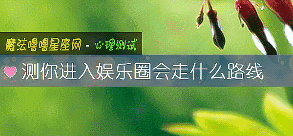 測你進入娛樂圈會走什麼路線