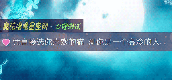 憑直接選你喜歡的貓 測你是一個高冷的人嗎？