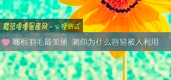 哪根羽毛最美麗 測你爲什麼容易被人利用