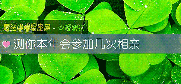 測你本年會參加幾次相親