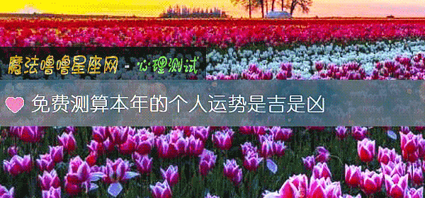免費測算本年的個人運勢是吉是凶