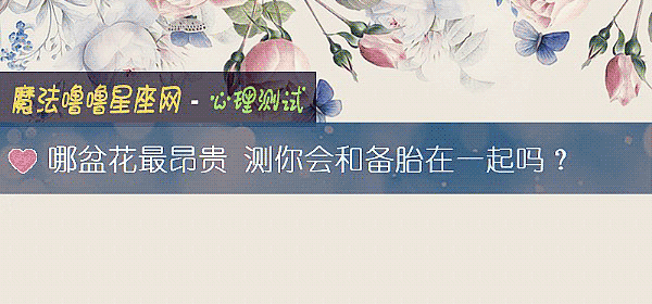 哪盆花最昂貴 測你會和備胎在一起嗎？