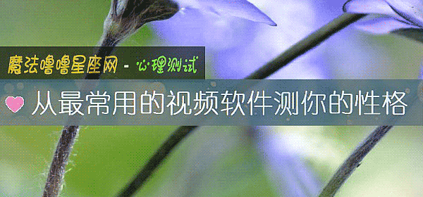 從最常用的視頻軟件測你的性格