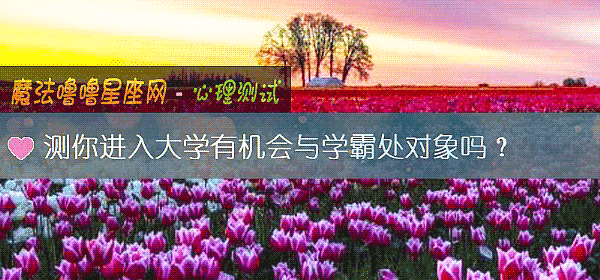 測你進入大學有機會與學霸處對象嗎?
