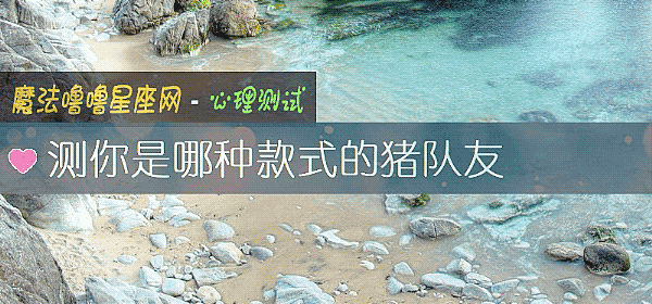 測你是哪種款式的豬隊友