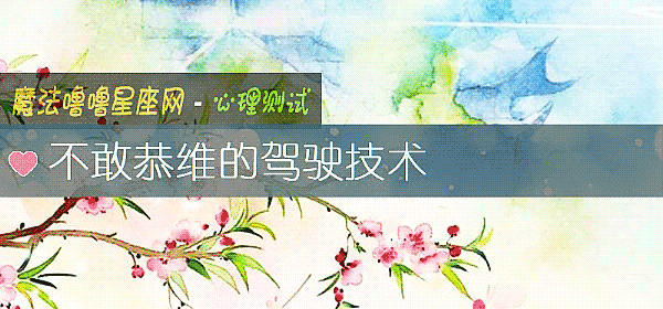 不敢恭維的駕駛技術