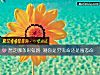 《想走哪條彩虹路 測你是窮鬼命還是富態命》测试