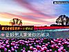 《讓好<i>男人</i>來愛你的秘決》测试